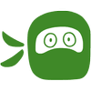 Green Ninja