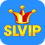 Slotvip