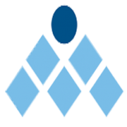 Management Solutions International (MSI)