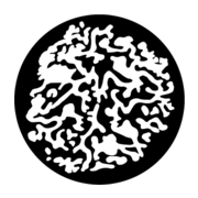 Lagotto Executive Search & Interim