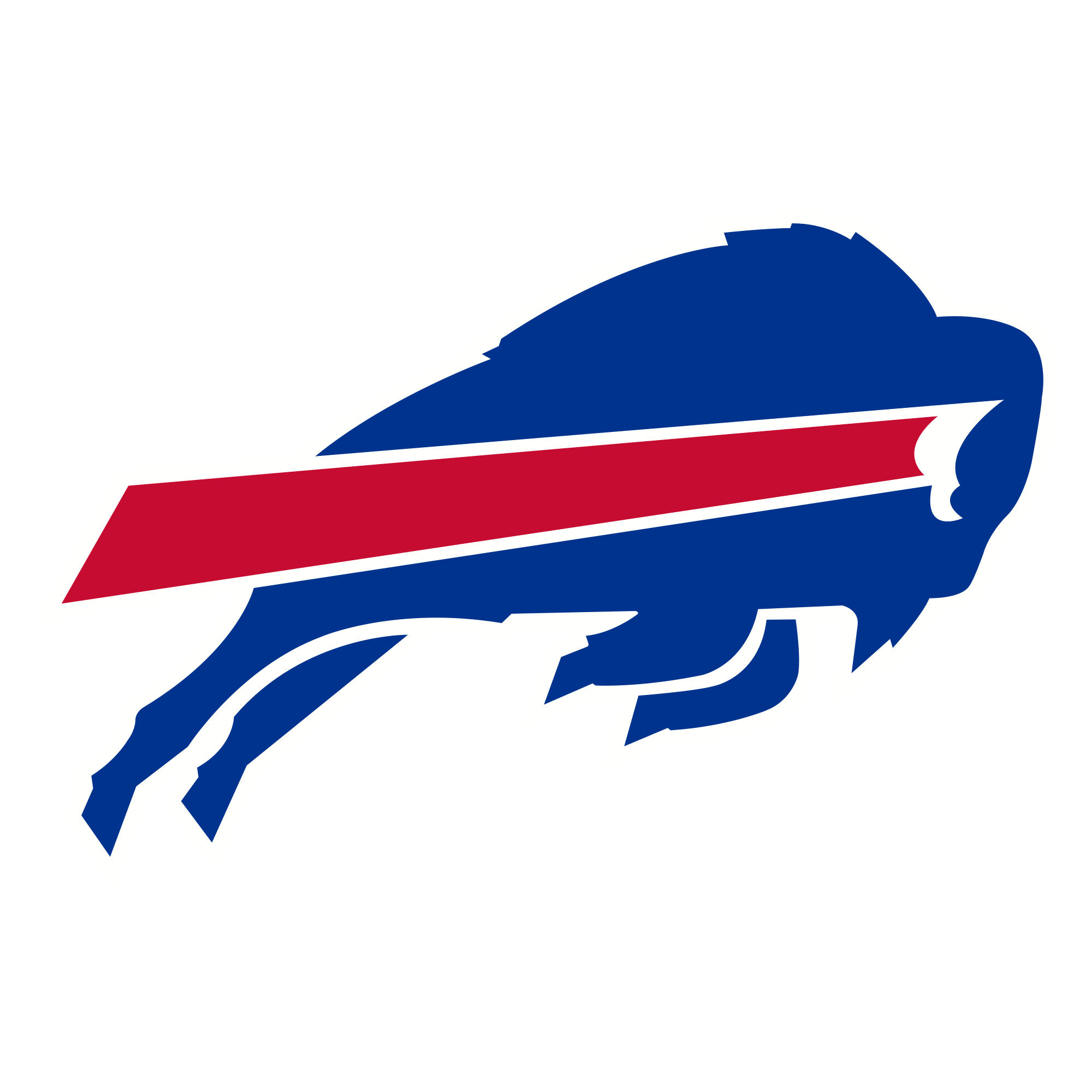 Buffalo Bills Home