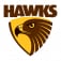 Hawthorn Football Club
