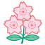 Rugby Japan