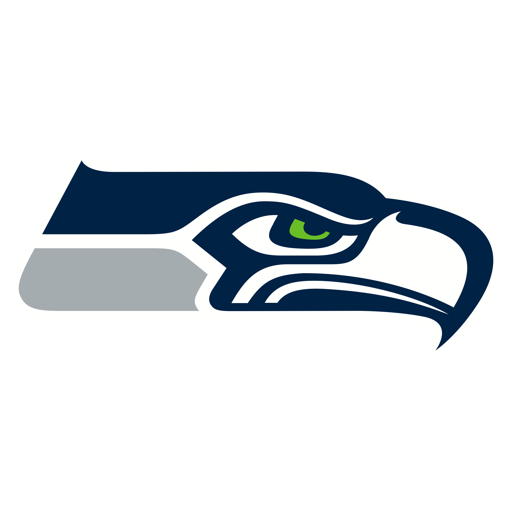 Seahawks Home