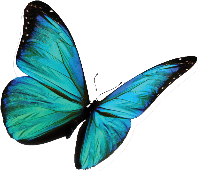 Lush Skin Clinic Colombo